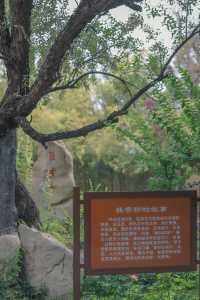 珍珠泉｜玉輪滾滾無時已，珠顆涓涓盡日生