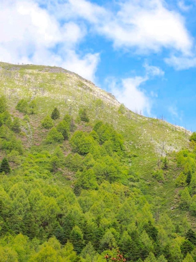 四川有自己的阿勒泰——康定情歌木格措景区