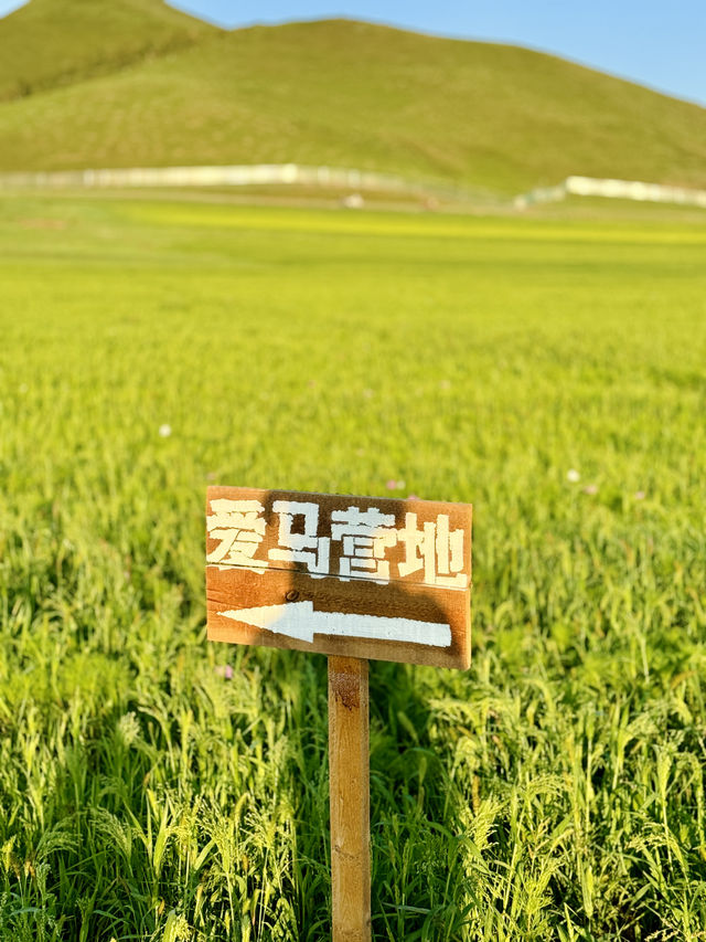 京北阿勒泰又美又涼快～愛馬農場落日餘暉