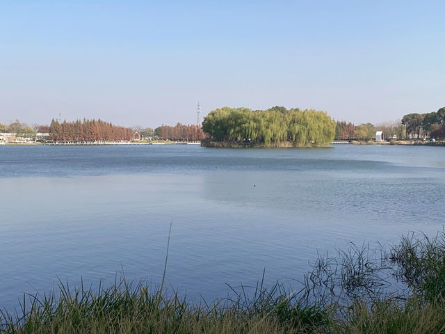 遠香湖秋色