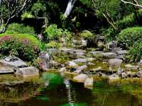 Beautiful City Botanic Gardens Brisbane 🌺🌳