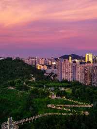 🌃 Xiamen Nights: Cruises & Views to Remember 🌌