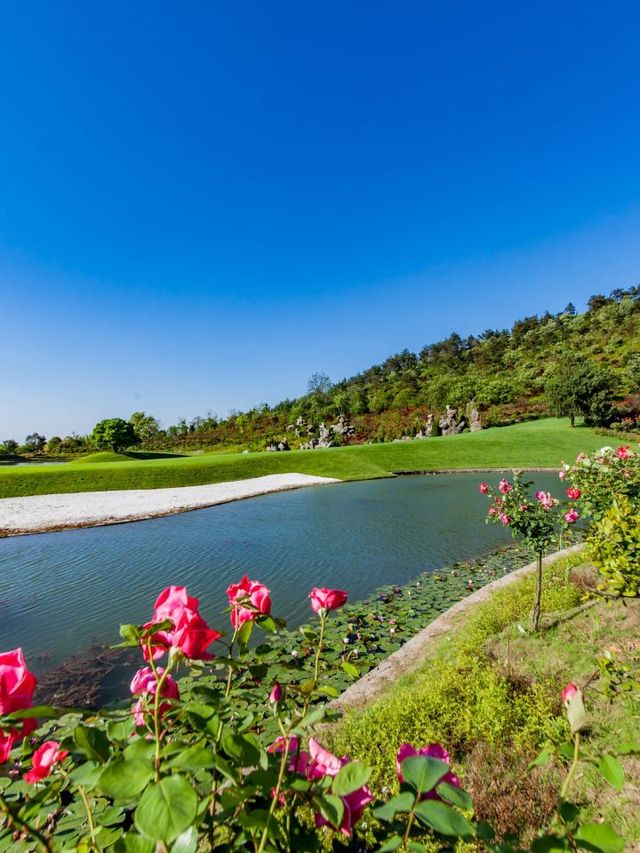 🌊 Nanjing's Splashy Escapes: Water Parks & Drifting Adventures! 🏄‍♂️