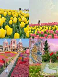 這兩天給大家整理了“奇蹟花園”的遊園攻略，快來看吧