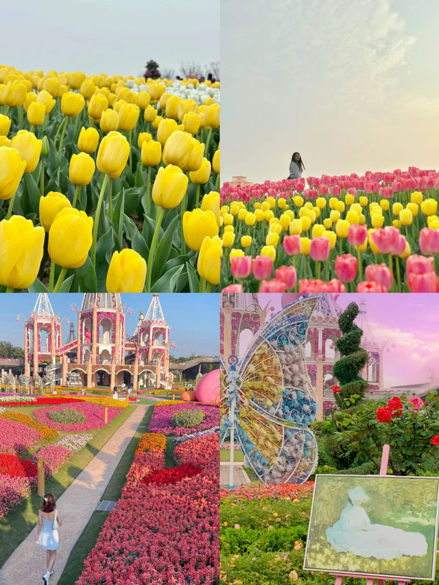 這兩天給大家整理了“奇蹟花園”的遊園攻略，快來看吧