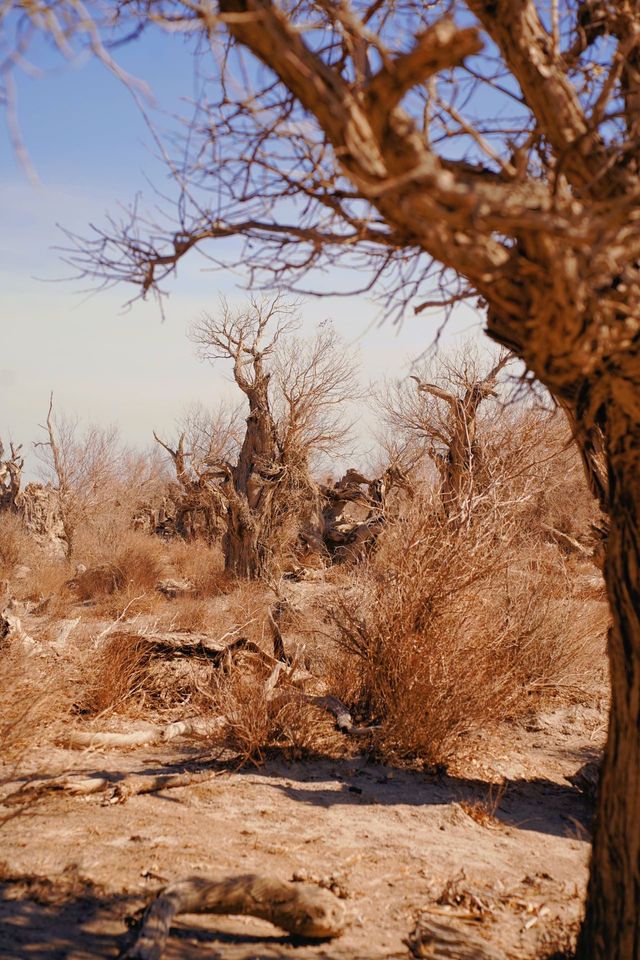 治癒系風景•訴說六千年的守候