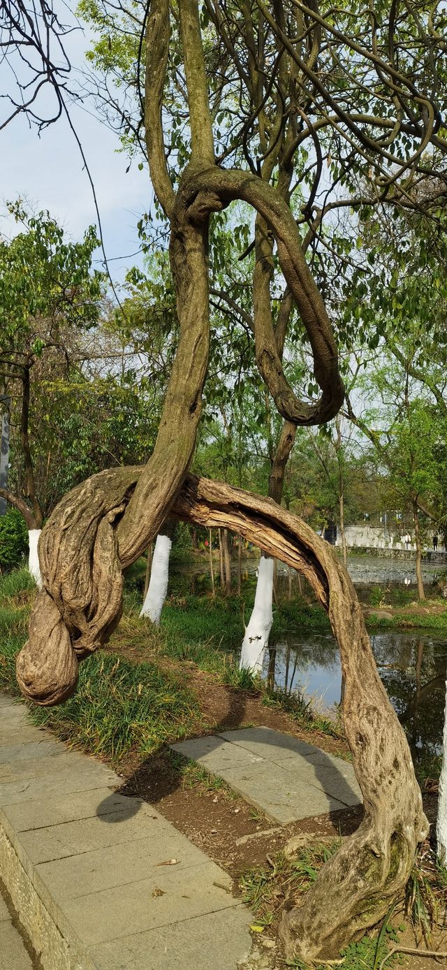 十里河灘