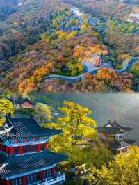 東海仙山，大聖老家！跟著《黑神話•悟空》做客花果山