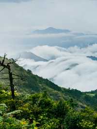 每次登山都能遇到雲海。
