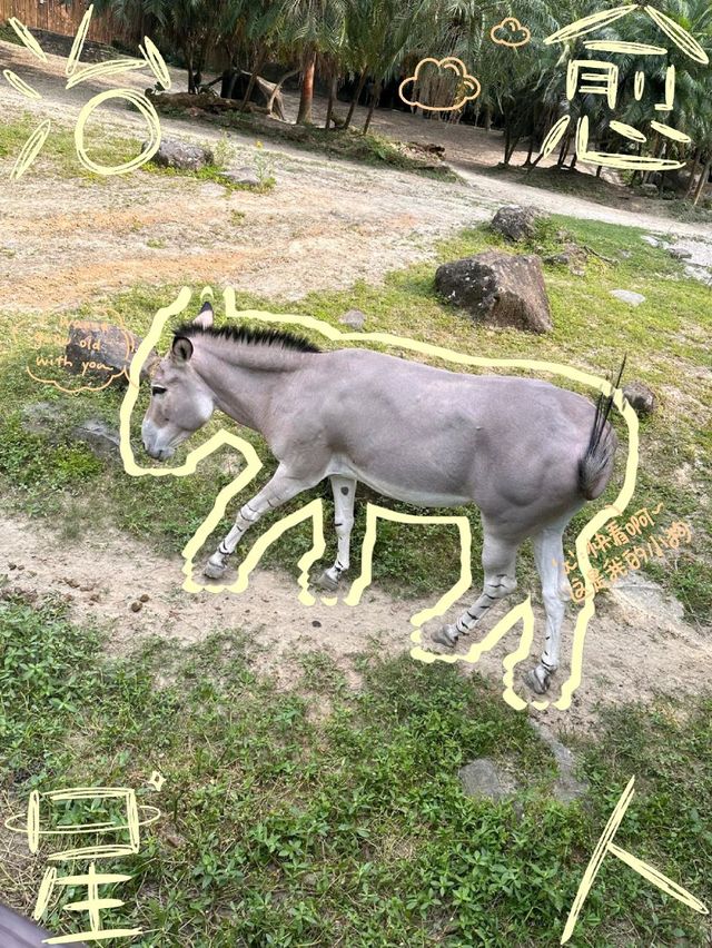 台北動物園