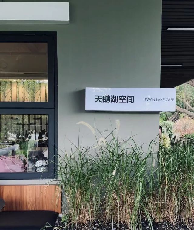 隱藏在五緣灣的天鵝湖。