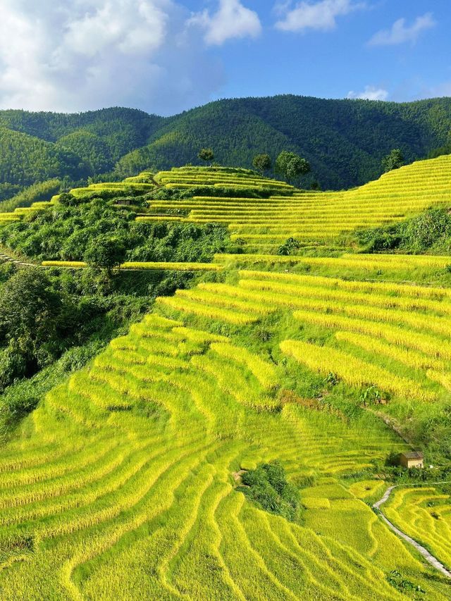 宮崎駿漫畫世界，這裡全都有。