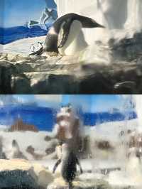 長沙海底世界。