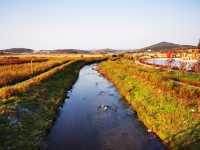 中國關藥博物館。