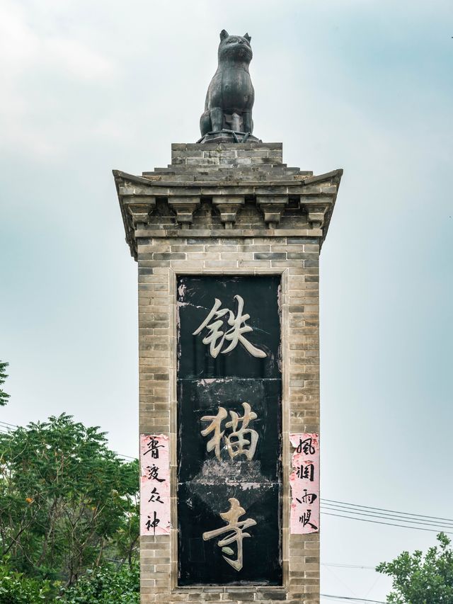 山西真的有為貓咪建造的廟宇——喵喵教總壇。