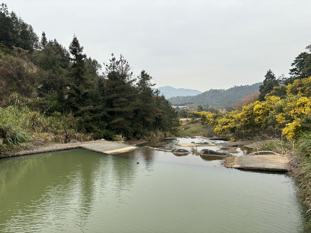 大埔瑞山度假村。