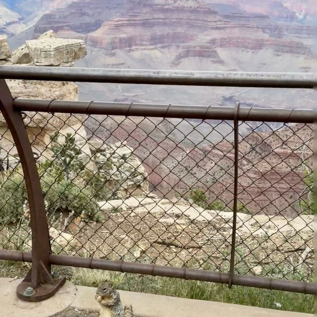 Grand Canyon National Park 