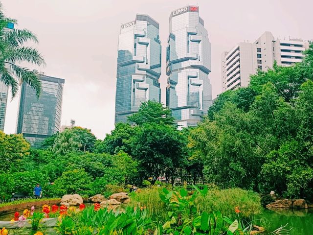 Green Heart of Concrete Jungle: Hong KongPark