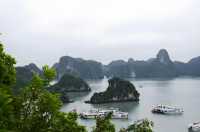 洞海：探索神秘的海底世界。