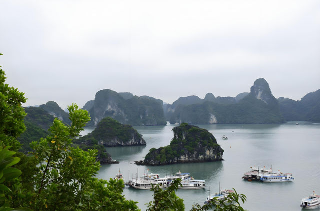 洞海：探索神秘的海底世界。