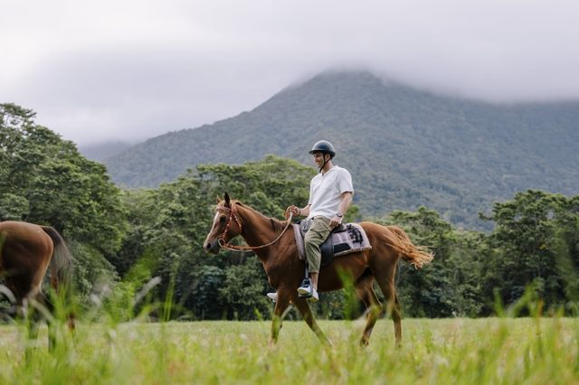 "在澳洲，我和馬兒一樣自由"。