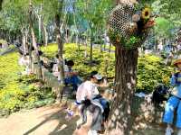 開封古城牆賞菊，一步一景美如畫。。