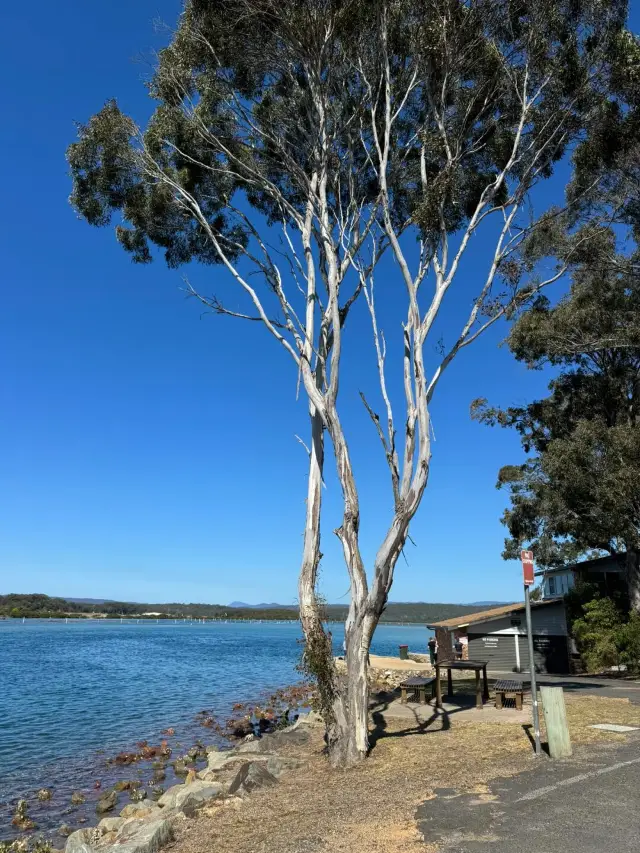 Merimbula: Unlock a New Seaside Vacation Spot