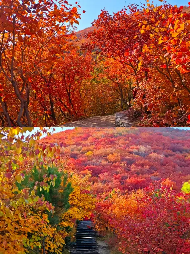 秋天北京最值得去的七個地方!!。
