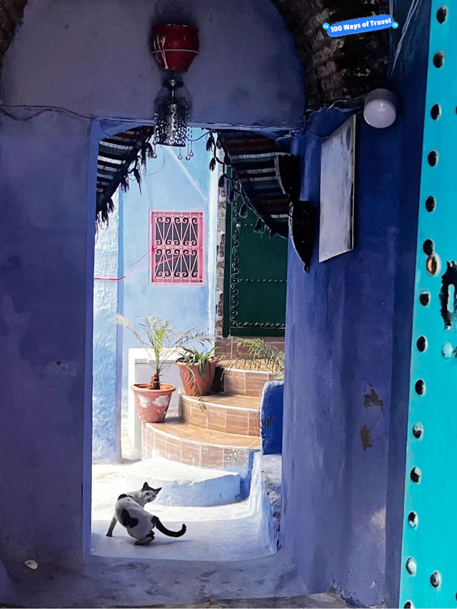 Discovering Chefchaouen: The Blue Pearl of Morocco 🇲🇦 