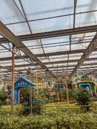 南宮五洲植物園——秋季親子遊好去處。