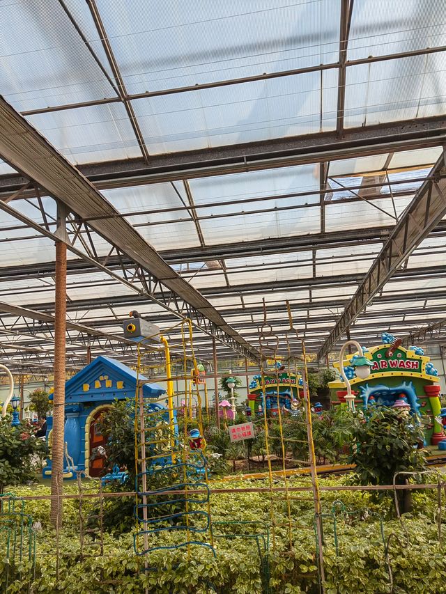 南宮五洲植物園——秋季親子遊好去處。