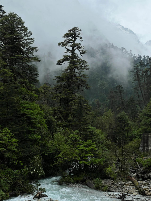西藏墨脱｜震撼景觀直擊心靈。