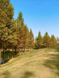 武漢周末好去處！公園郊遊！。