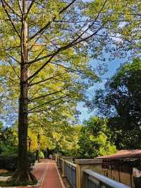 福州閩江公園|福州的浪漫，閩江公園佔一半。