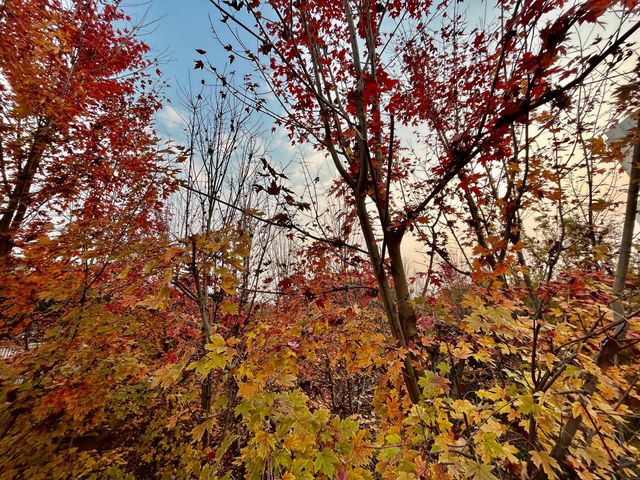 西安雁南公園|這裡的公園不一樣。