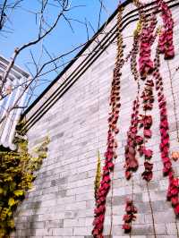 北京模式口石門書院，免費開放。