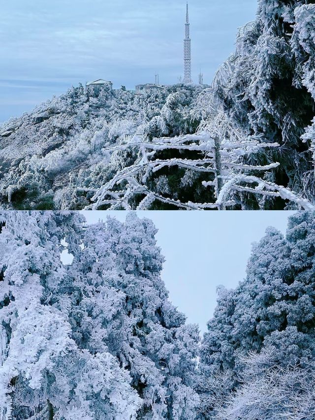 不是哈爾濱去不起，是南嶽衡山更有性價比。