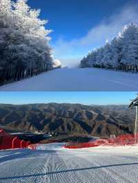張家口崇禮滑雪攻略‖打卡避坑指南。