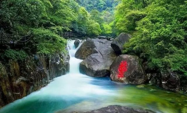 祁門牯牛降旅遊攻略。