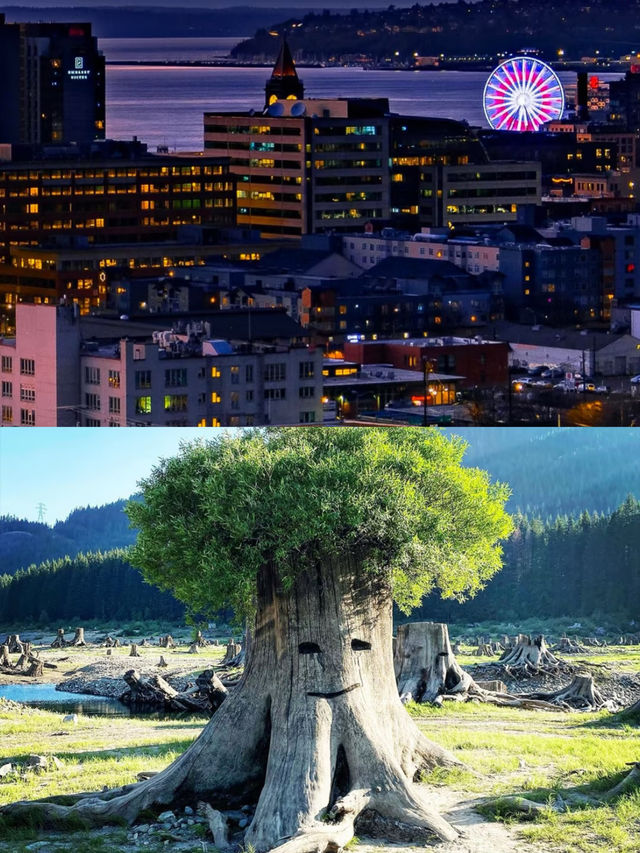 西雅圖三日遊旅行攻略丨美國的翡翠之城。