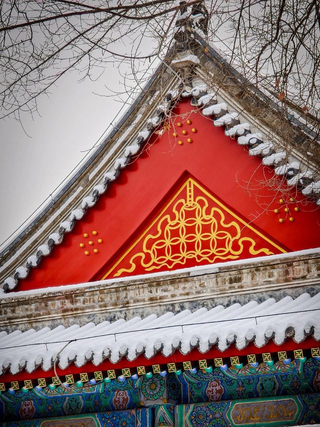 黑龍江哈爾濱|文廟•看看冬日裡的文廟。