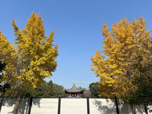 西安碑林博物館｜書法愛好者的終極朝聖地。