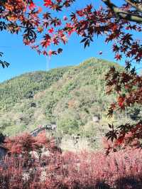 寧波自駕遊