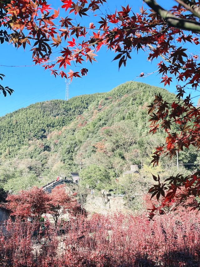 寧波自駕遊