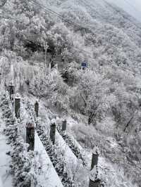 秦嶺雪國專列：邂逅冬日奇境的夢幻車票