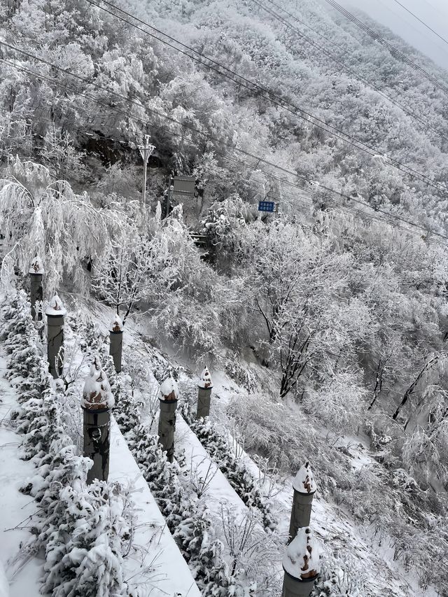 秦嶺雪國專列：邂逅冬日奇境的夢幻車票