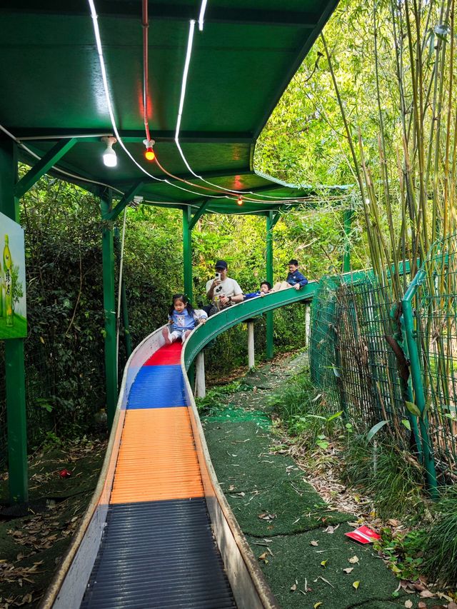 寶藏公園、超好玩彩虹滑道、兒童樂園 玩得停不下來！