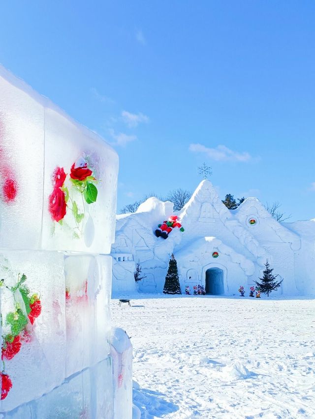 東北打卡不只有爾濱，長白山最美雪屋！