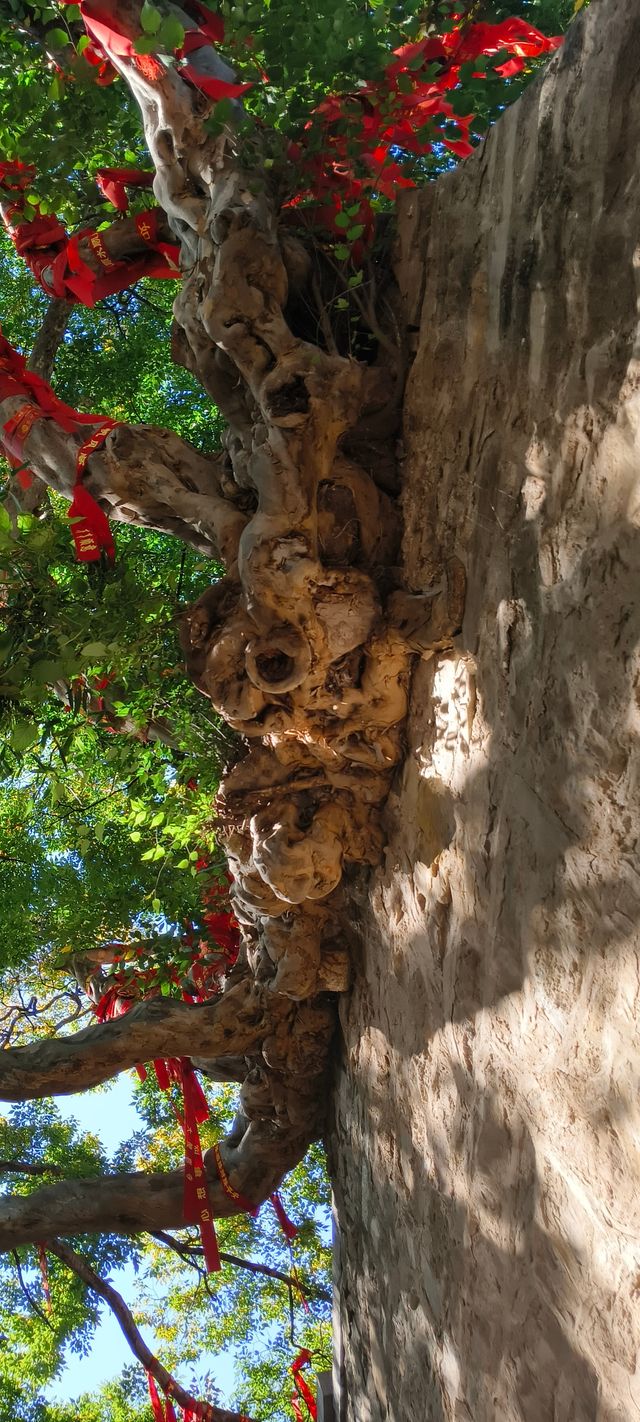 山東濟南「靈岩寺」