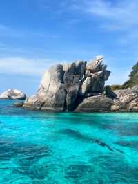 普吉島潛水｜竟有鯊魚出沒！來自藍色大海的傳說🪸
